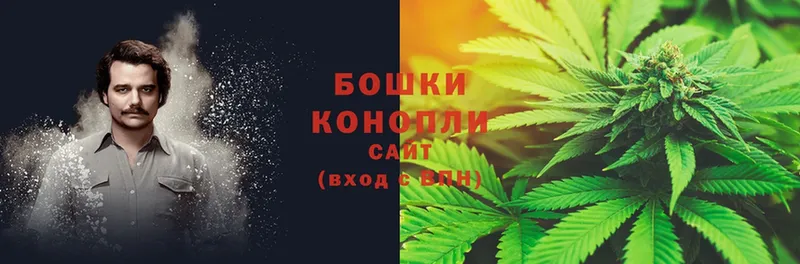 Каннабис THC 21%  дарнет шоп  Копейск 